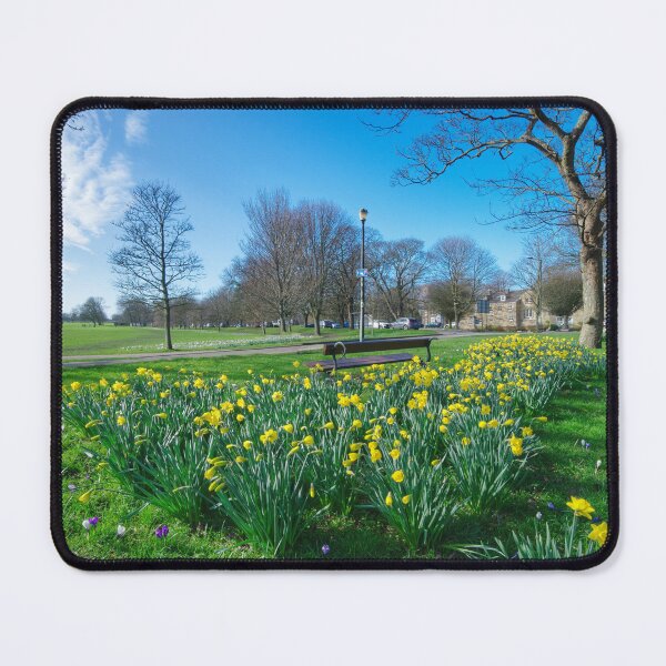 Item preview, The Stray Harrogate Daffodils designed and sold by Alisonchambers2.