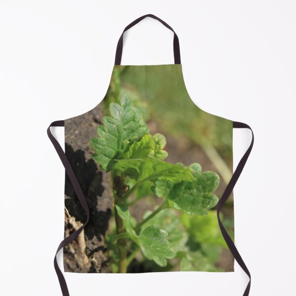 Item preview, New Growth Awakening - Detailed Botanical Close-up designed and sold by vikko-art.