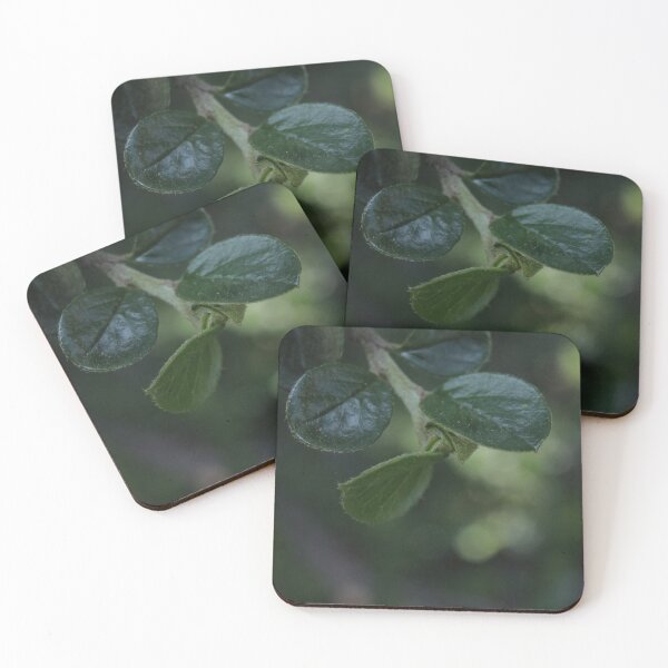 Item preview, Deep Green Glossy Leaves Macro - Moody Botanical Art designed and sold by vikko-art.