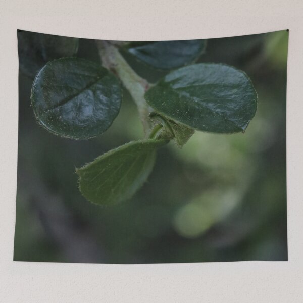 Item preview, Deep Green Glossy Leaves Macro - Moody Botanical Art designed and sold by vikko-art.
