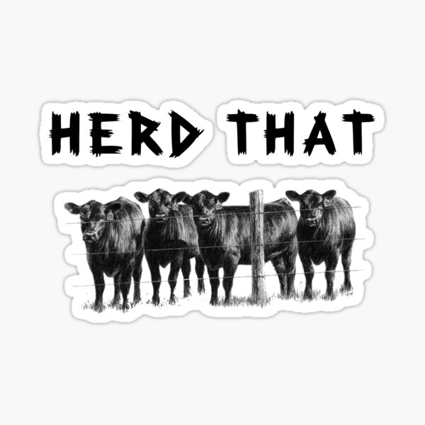 Herd That Black Angus Cows, Cow Lover Gift Sticker