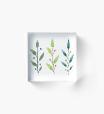 Leaves and berries Acrylic Block