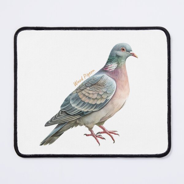 Item preview, Wood Pigeon bird, Garden Bird designed and sold by iclipart.