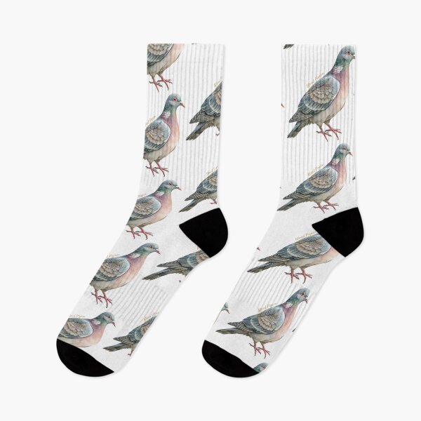 Item preview, Wood Pigeon bird, Garden Bird designed and sold by iclipart.
