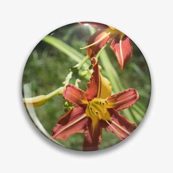 Item preview, Two Red Daylilies in Bright Sunshine designed and sold by Georgia Mizuleva.