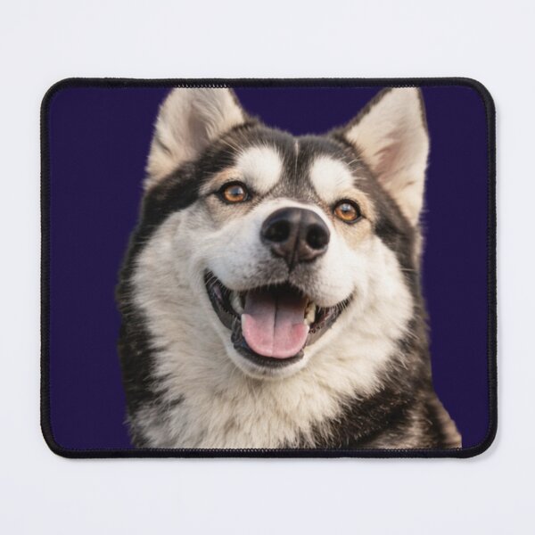 Item preview, Happy Alaskan Malamute designed and sold by Nika Art Studio.