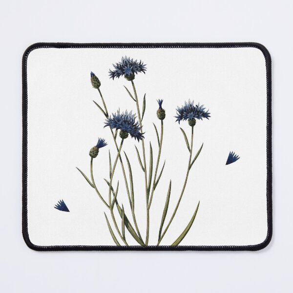 Item preview, Watercolor Cornflower Flowers Botanical Blue Floral Art designed and sold by Laurus Lunaris.