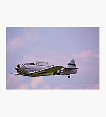 Paradise in flight WWII trainer (1) Photographic Print