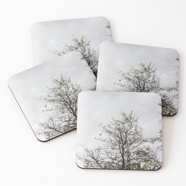Item preview, Tall Bare Tree Silhouette Against Cloudy Gray Sky With Sparse New Leaves designed and sold by Nmallia.