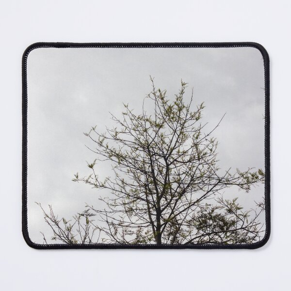 Item preview, Tall Bare Tree Silhouette Against Cloudy Gray Sky With Sparse New Leaves designed and sold by Nmallia.