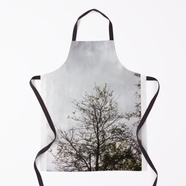 Item preview, Tall Bare Tree Silhouette Against Cloudy Gray Sky With Sparse New Leaves designed and sold by Nmallia.