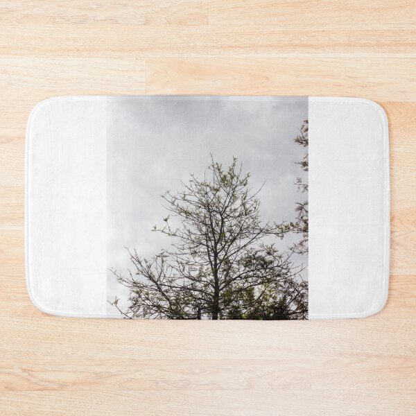 Item preview, Tall Bare Tree Silhouette Against Cloudy Gray Sky With Sparse New Leaves designed and sold by Nmallia.