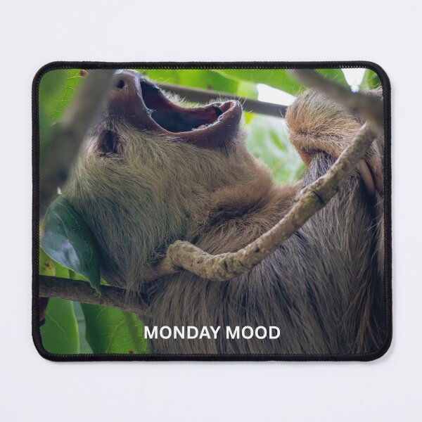 Item preview, Monday Mood Sloth Meme Funny Monday Sticker Relatable Work Humor Office Gift designed and sold by WildFrameNature.