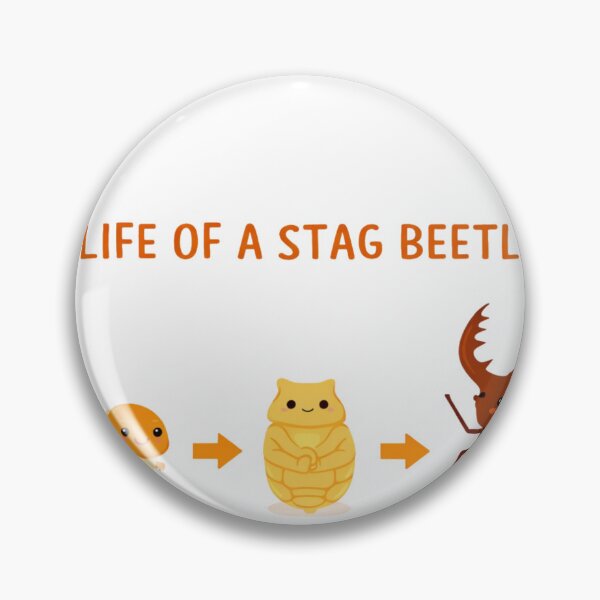 Item preview, Stag Beetle Life Cycle Shirt Cute Insect Metamorphosis Kids Educational Tee Larva Pupa Adult Bug Lover Gift designed and sold by Japanese Bug Hunter.