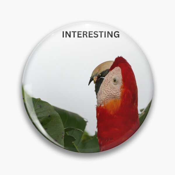 Item preview, Interesting Parrot Meme Funny Sarcastic Bird Sticker Unimpressed Macaw Dry Humor Gift designed and sold by WildFrameNature.