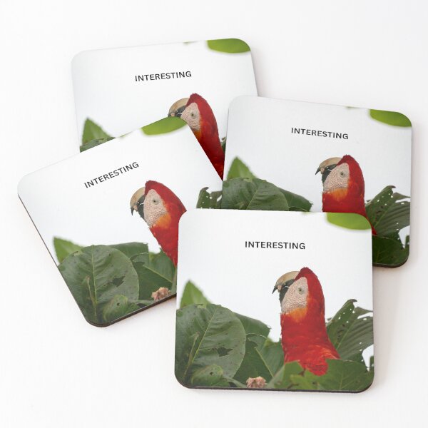 Item preview, Interesting Parrot Meme Funny Sarcastic Bird Sticker Unimpressed Macaw Dry Humor Gift designed and sold by WildFrameNature.