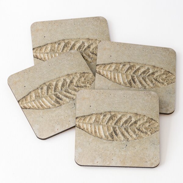 Item preview, Leaf Fossil Imprint in Pale Sedimentary Stone Close-Up Texture Natural Pattern Detail designed and sold by Nmallia.