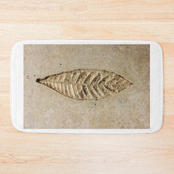 Item preview, Leaf Fossil Imprint in Pale Sedimentary Stone Close-Up Texture Natural Pattern Detail designed and sold by Nmallia.