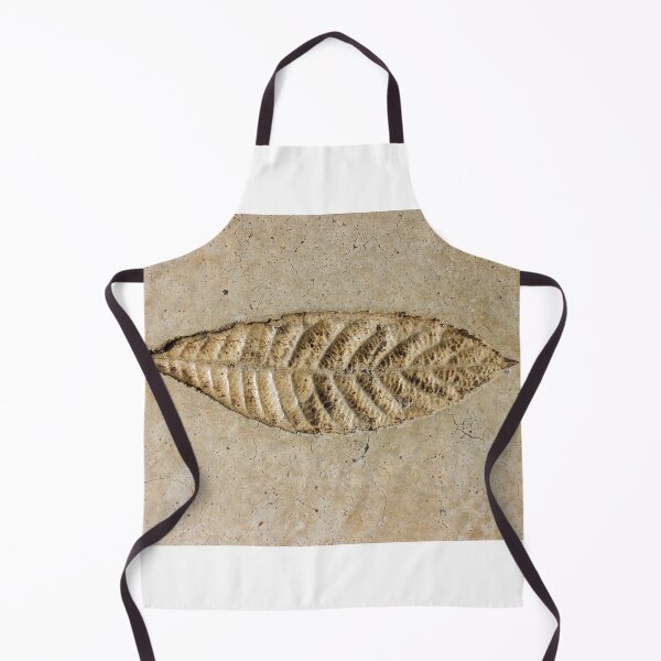 Item preview, Leaf Fossil Imprint in Pale Sedimentary Stone Close-Up Texture Natural Pattern Detail designed and sold by Nmallia.