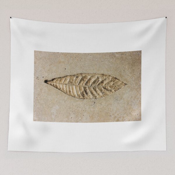 Item preview, Leaf Fossil Imprint in Pale Sedimentary Stone Close-Up Texture Natural Pattern Detail designed and sold by Nmallia.