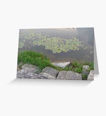 Lillypad Greeting Card