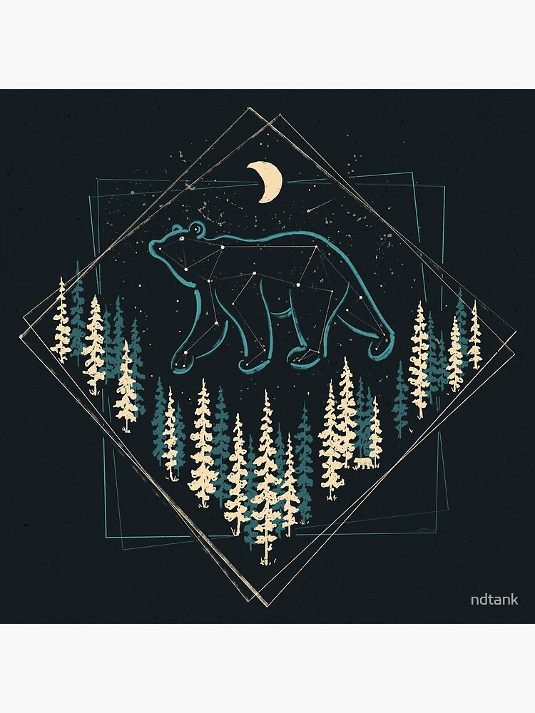 The Heaven's Wild Bear by ndtank