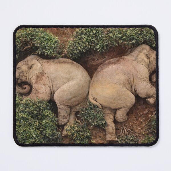 Item preview, Elephants at rest in natural serenity designed and sold by donchago.