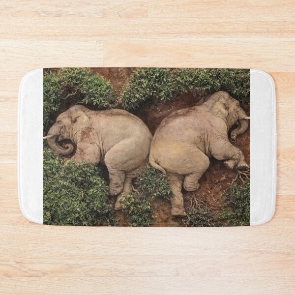 Item preview, Elephants at rest in natural serenity designed and sold by donchago.