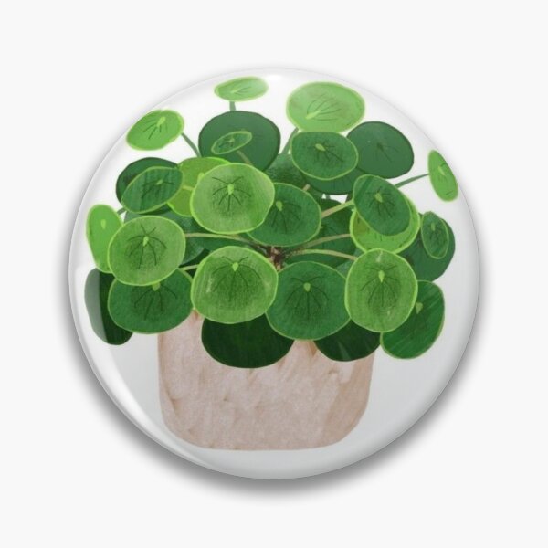 Item preview, Green chinese money plant  designed and sold by NivyasArtistry.