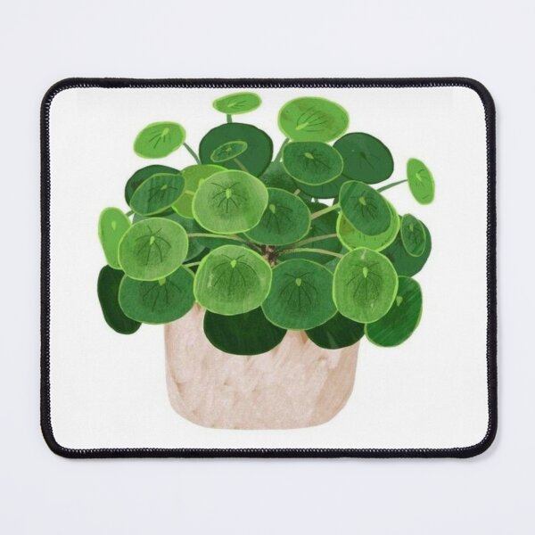 Item preview, Green chinese money plant designed and sold by NivyasArtistry.