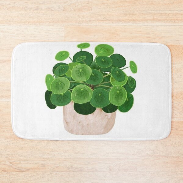 Item preview, Green chinese money plant  designed and sold by NivyasArtistry.