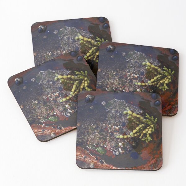 Item preview, Rock Pool designed and sold by KazM.