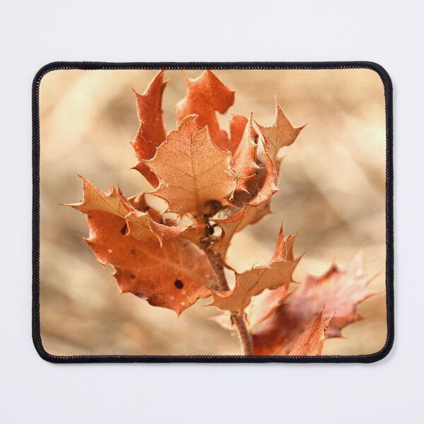 Item preview, veek2rize: real photo of plants and flowers series - outumn red plant 01 designed and sold by pixelbts.