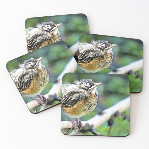 Item preview, Robin Nestling Perched on Tree Branch designed and sold by AMacGPhilly.