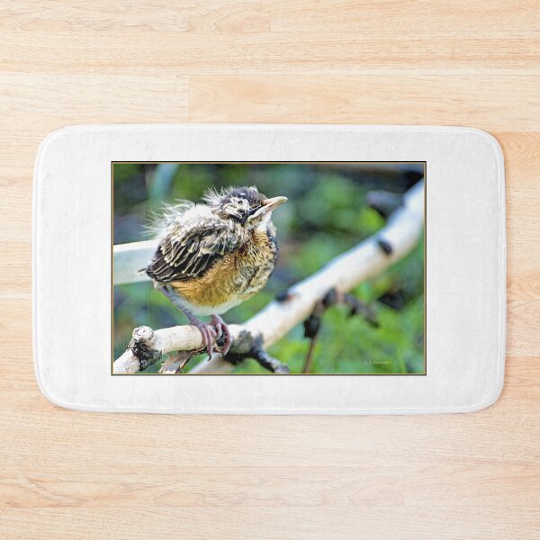 Item preview, Robin Nestling Perched on Tree Branch designed and sold by AMacGPhilly.