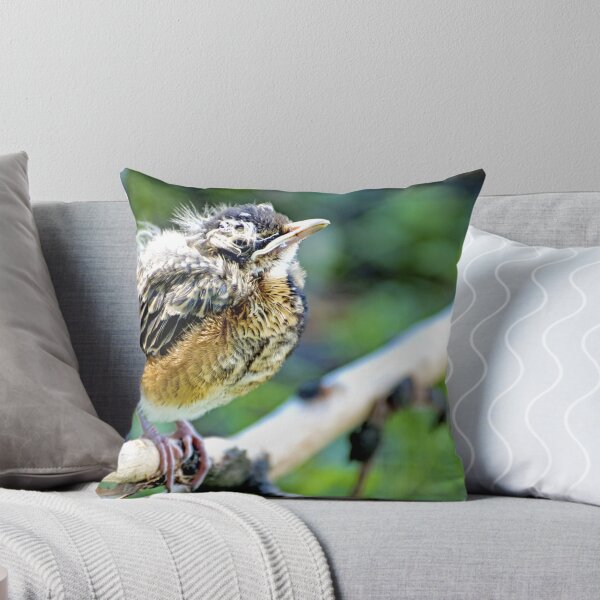 Item preview, Robin Nestling Perched on Tree Branch designed and sold by AMacGPhilly.