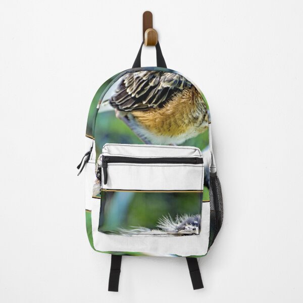 Item preview, Robin Nestling Perched on Tree Branch designed and sold by AMacGPhilly.