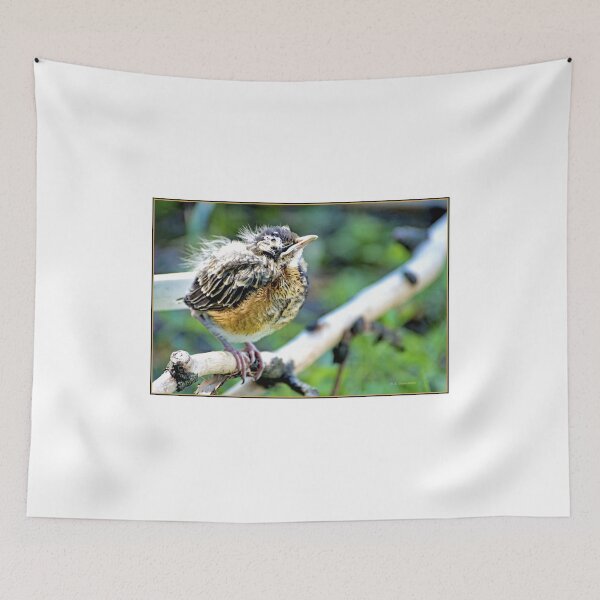 Item preview, Robin Nestling Perched on Tree Branch designed and sold by AMacGPhilly.