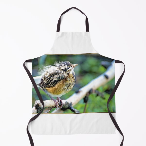 Item preview, Robin Nestling Perched on Tree Branch designed and sold by AMacGPhilly.