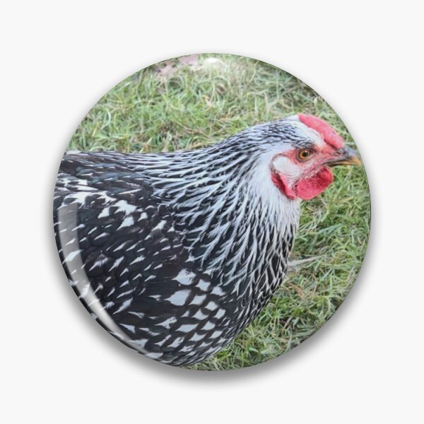 Item preview, Silver Laced Chicken Love designed and sold by Colorsoflove613.