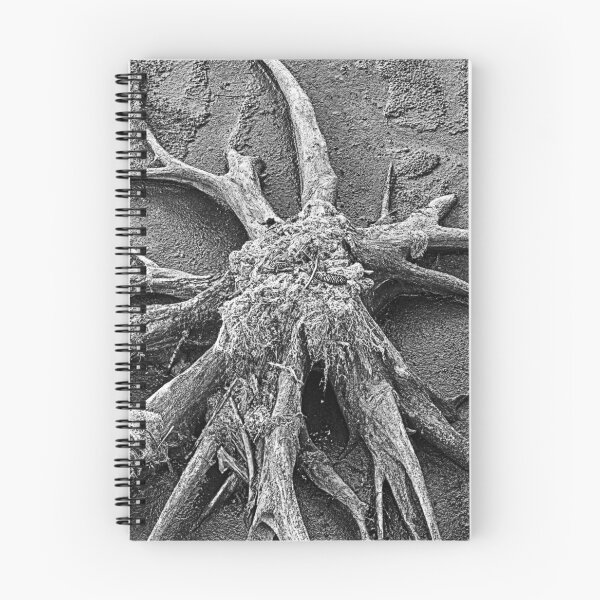Item preview, Stump Abstract BnW designed and sold by Robert Alsop.