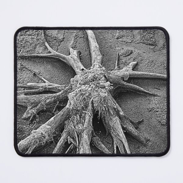 Item preview, Stump Abstract BnW designed and sold by Robert Alsop.