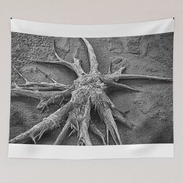 Item preview, Stump Abstract BnW designed and sold by Robert Alsop.