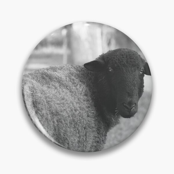 Artikelvorschau, Black Sheep Portrait in Countryside | Minimalist Black and White Animal Photography entworfen und verkauft von Sarah – Fine Art & Photography.