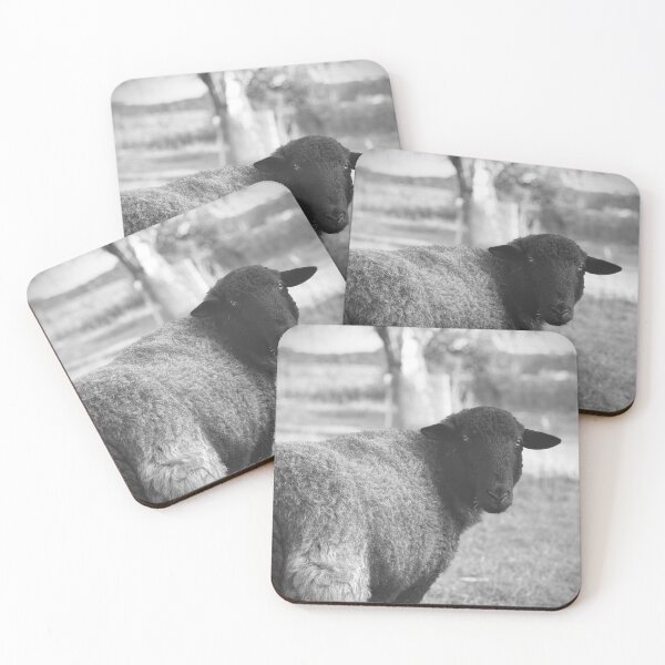 Item preview, Black Sheep Portrait in Countryside | Minimalist Black and White Animal Photography designed and sold by Sarah – Fine Art & Photography.