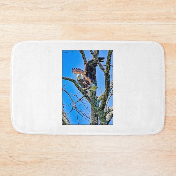 Item preview, Bald Eagle Spotting Prey, about to Attack designed and sold by AMacGPhilly.