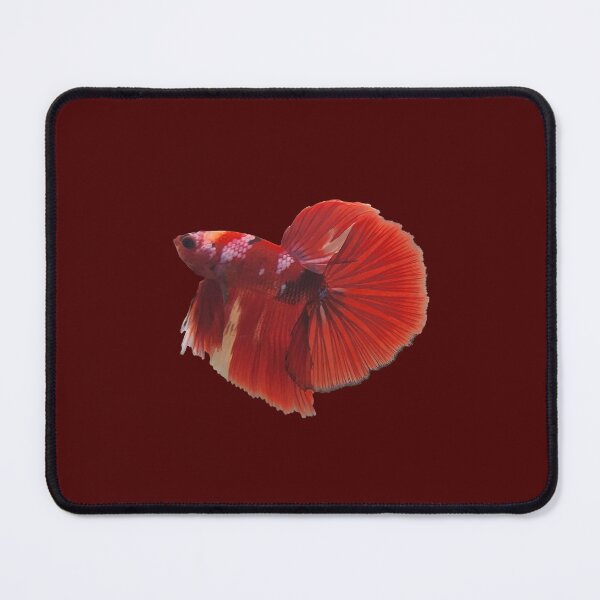 Item preview, Rare Koi Nemo Marble Betta - The Living Masterpiece designed and sold by oregharcoshal.