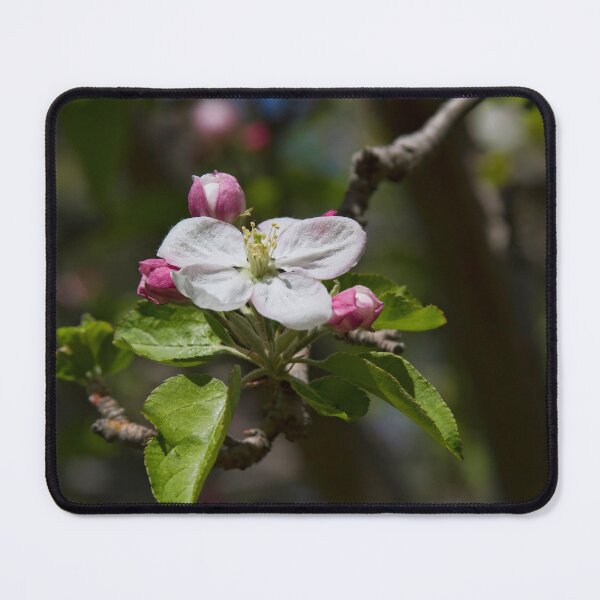 Item preview, Apple Blossom Time designed and sold by alanathrower.