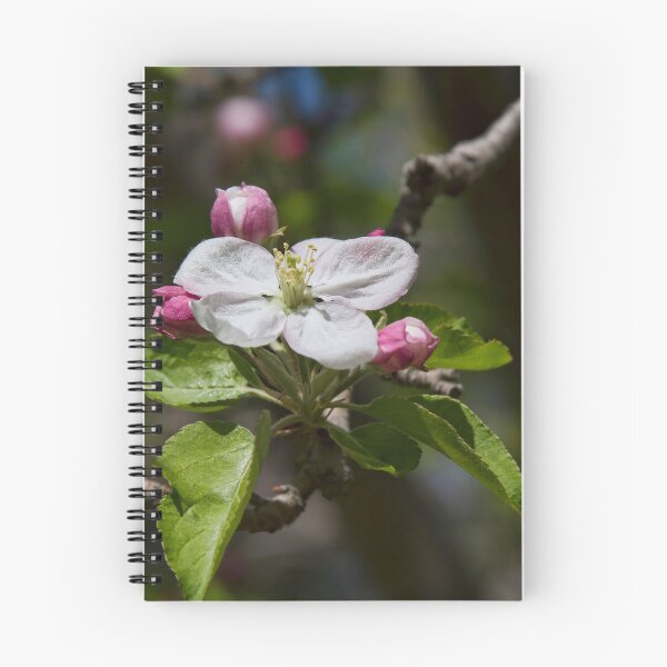 Item preview, Apple Blossom Time designed and sold by alanathrower.