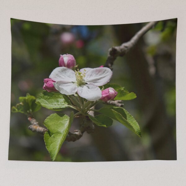 Item preview, Apple Blossom Time designed and sold by alanathrower.